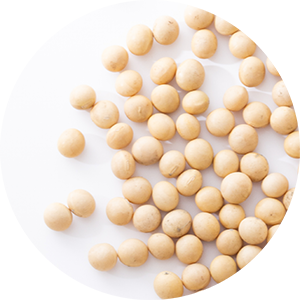 Soy-based Ingredients business