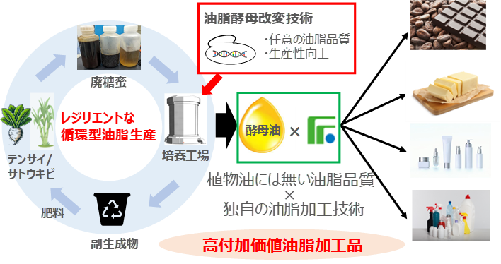 20250806_newsrelease_jp