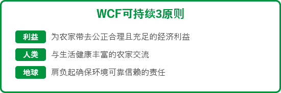 世界可可基金会的三项原则