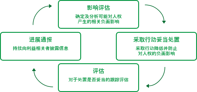 人权尽职调查整体示意图
