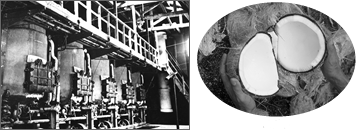 First pressing plant is built First successful industrial scale copra crushing in Japan