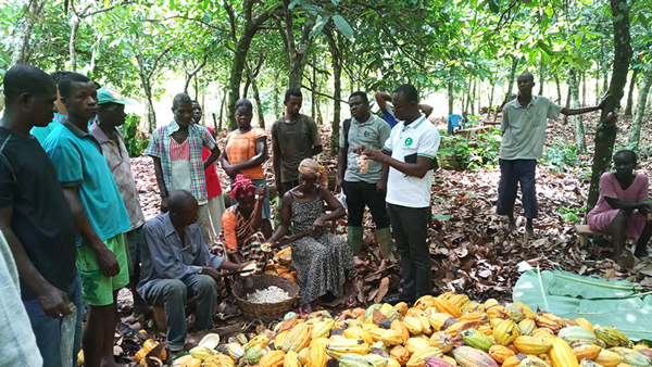 Farming guidance for local farmers