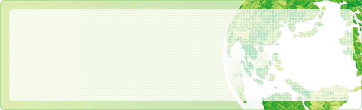 Integrated Report2020