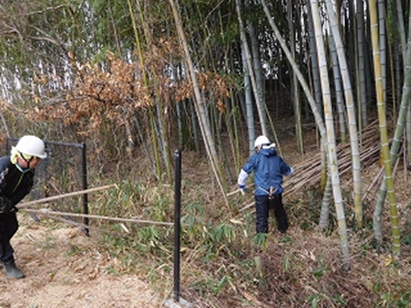 Volunteers at work