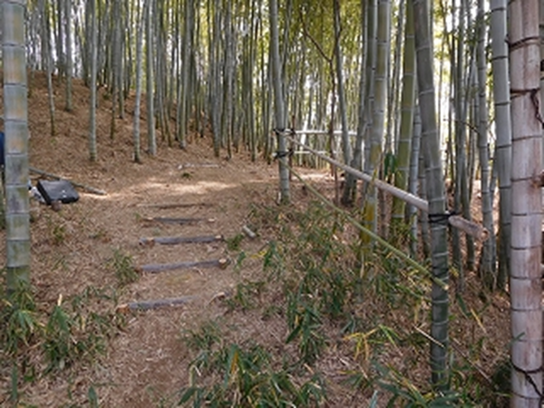 A walkway improved during the project