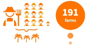 Number of RSPO-certified farms through support for smallholders in Sabah, Malaysia (Accumulation from January 2016 to March 2019) 191 farms