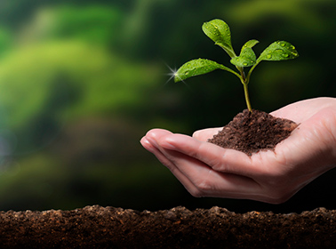Established of Fuji Oil Group Policy on biodiversity