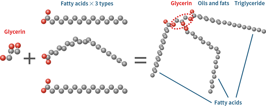 Composition of oils and fats