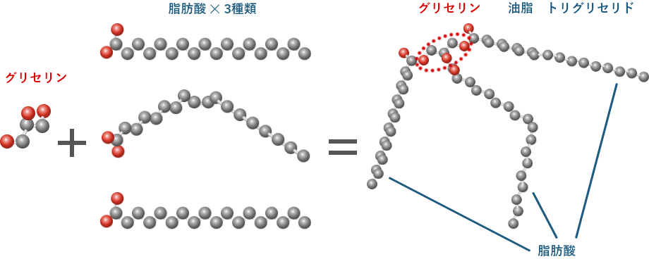 油脂の構成