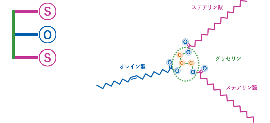 SOSトリグリセリド