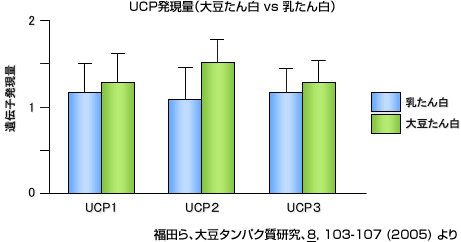 UCP発現量（大豆たん白 vs 乳たん白） 