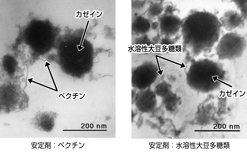 酸性乳飲料の蛋白質粒子の電子顕微鏡写真