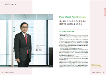 統合報告書2020