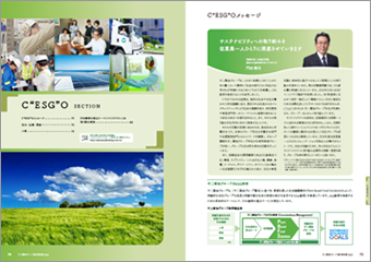 統合報告書2020