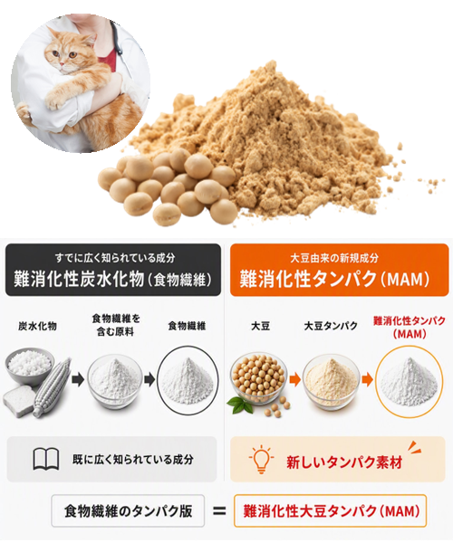 難消化性大豆たん白(MAM)