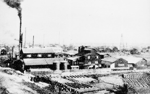 1950～1960年代
