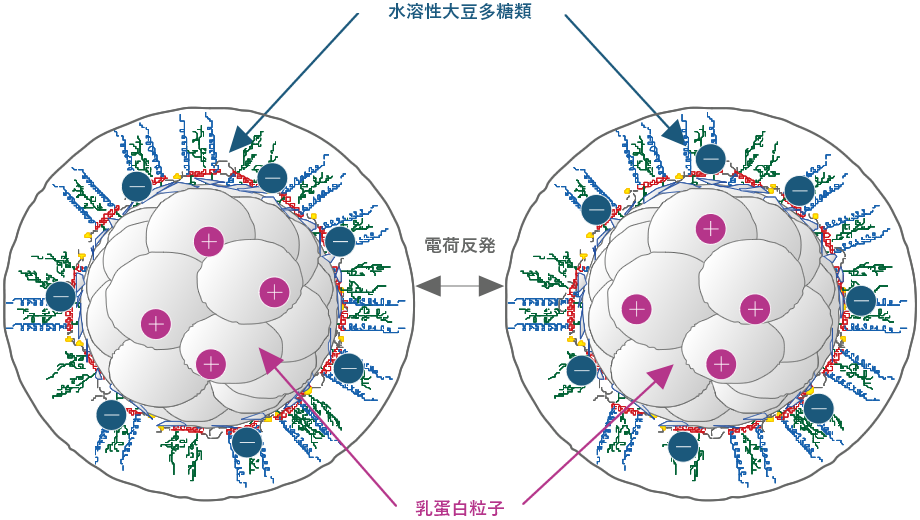 水溶性大豆多糖類