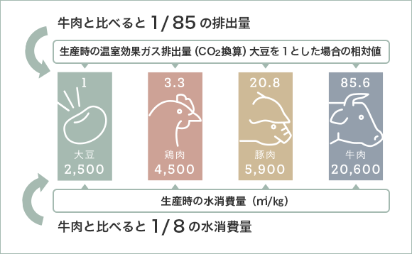 牛肉との比較